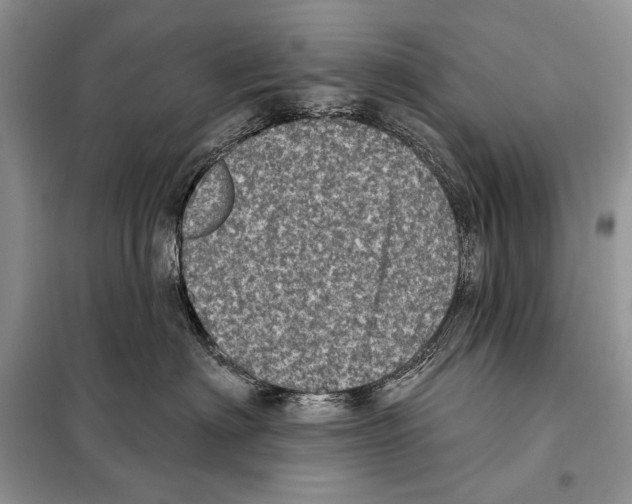 X0000098070622200805020959