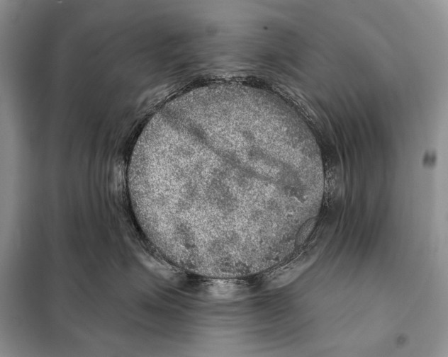 X0000098070623200805020959