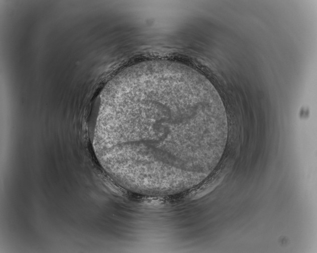 X0000098070624200805020959