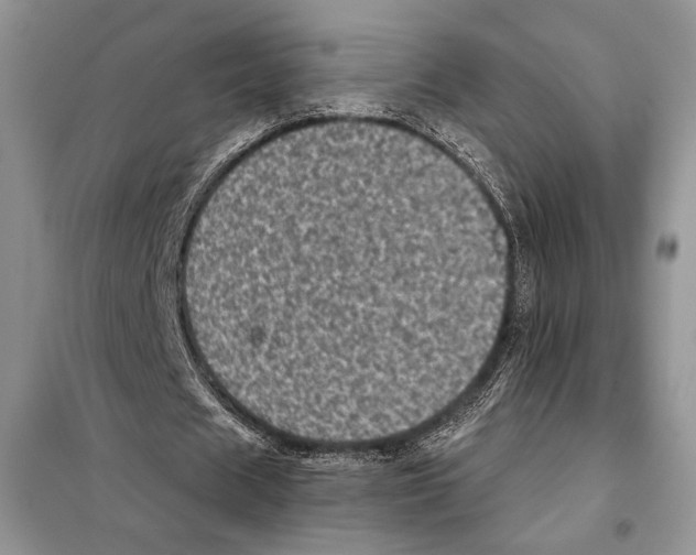 X0000098070625200805020958