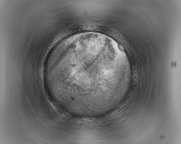 X0000098070626200805020958