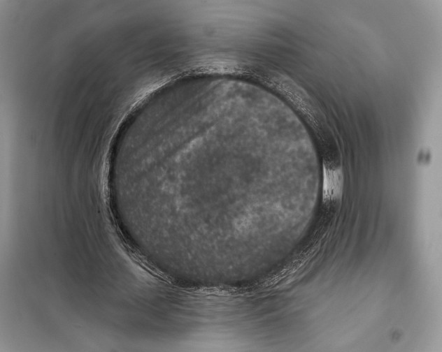 X0000098070627200805020958