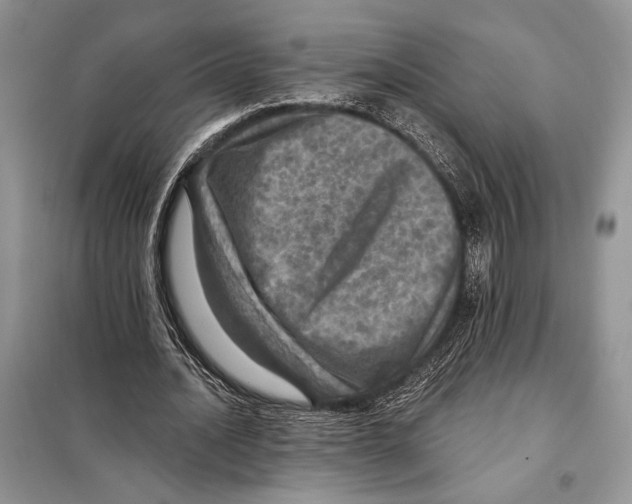 X0000098070628200805020958