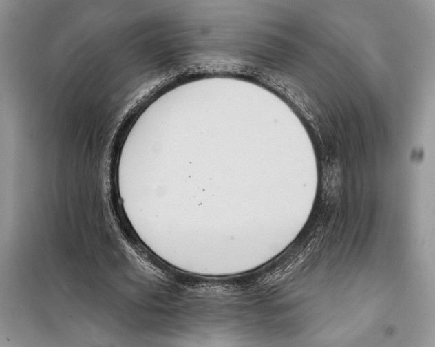 X0000098070629200805020958