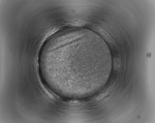 X0000098070634200805020959