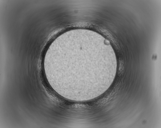 X0000098070636200805020959