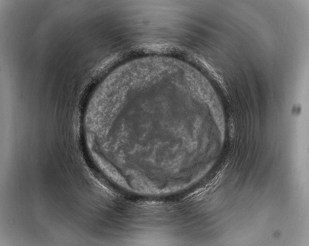 X0000098070637200805020959