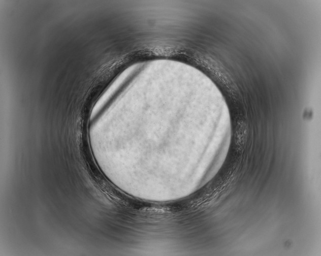 X0000098070639200805020959