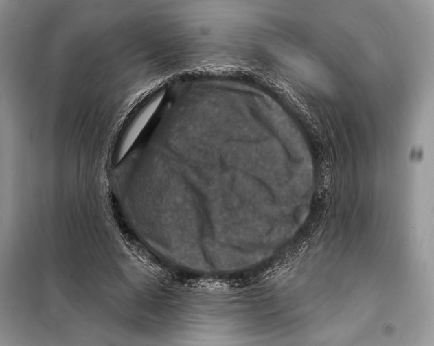 X0000098070640200805020959