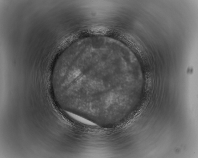 X0000098070641200805020959