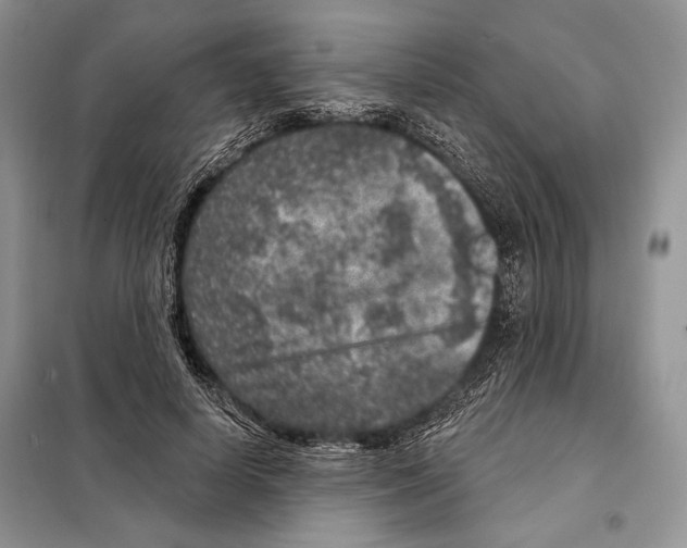 X0000098070642200805020959