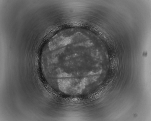 X0000098070643200805020959