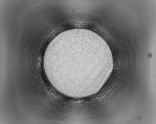 X0000098070646200805020959