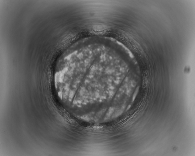 X0000098070647200805020959