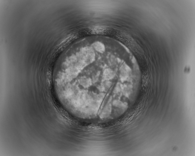 X0000098070648200805020959