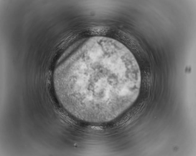 X0000098070649200805020959