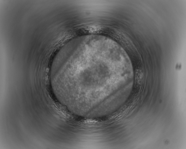 X0000098070650200805020959