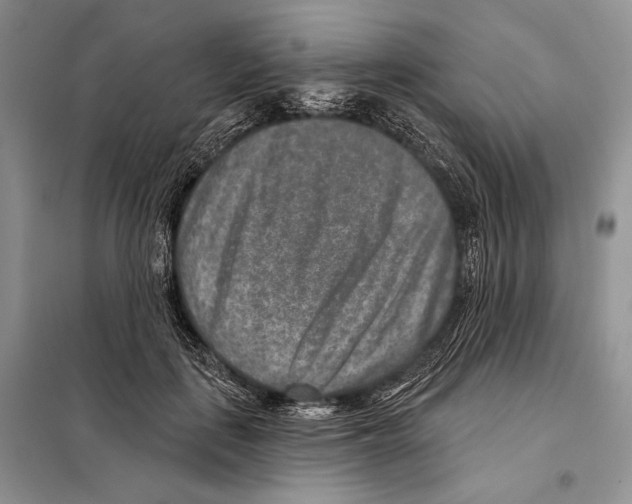 X0000098070651200805020959