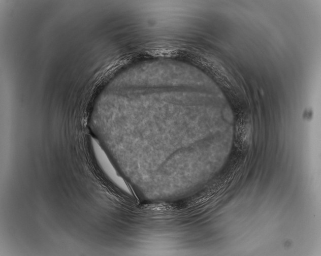 X0000098070652200805020959