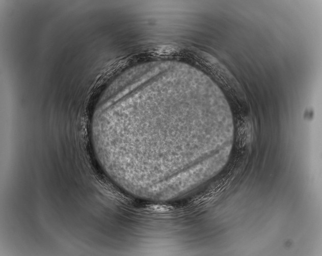 X0000098070654200805020959