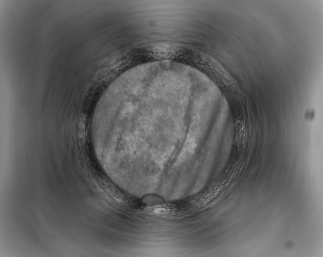 X0000098070655200805020959