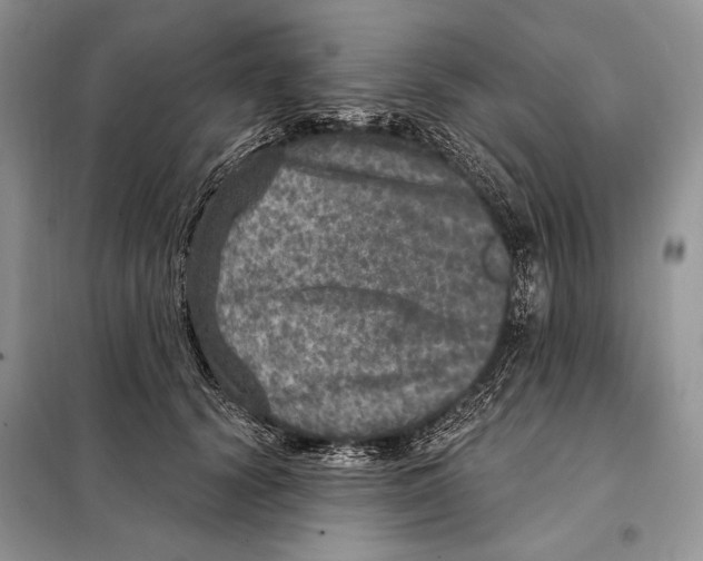 X0000098070656200805020959