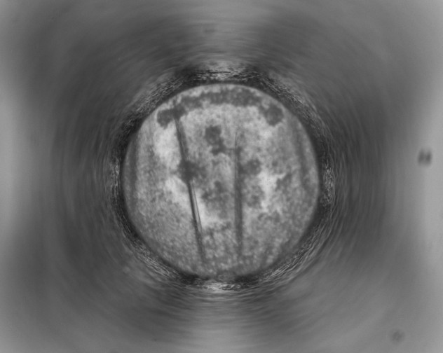 X0000098070657200805020959