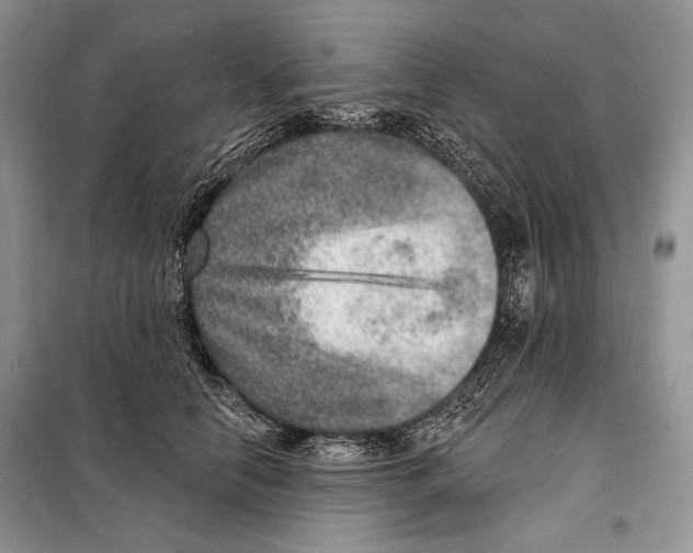 X0000098070658200805020959