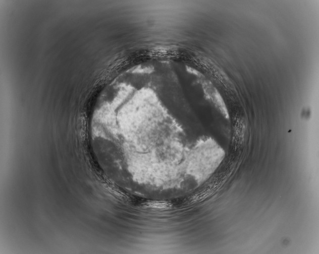 X0000098070659200805020959