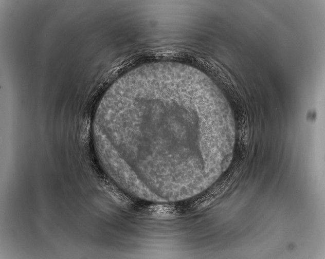 X0000098070660200805020959