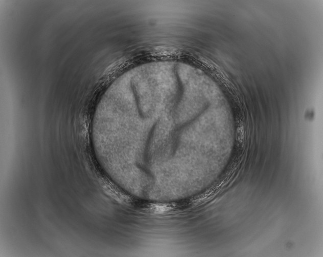 X0000098070662200805020959