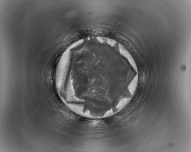 X0000098070663200805020959