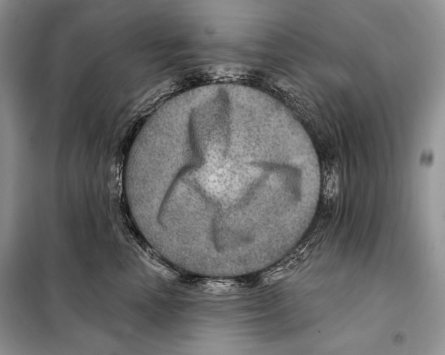 X0000098070666200805020959