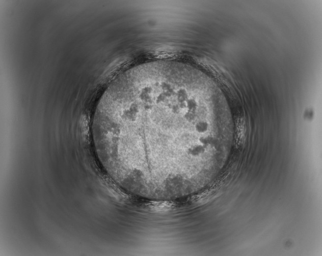 X0000098070667200805020959