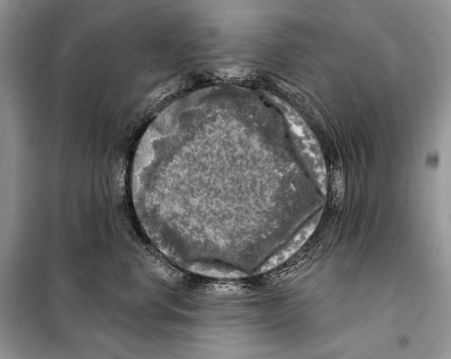 X0000098070668200805020959