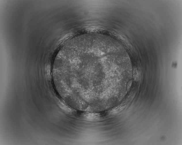 X0000098070670200805020959