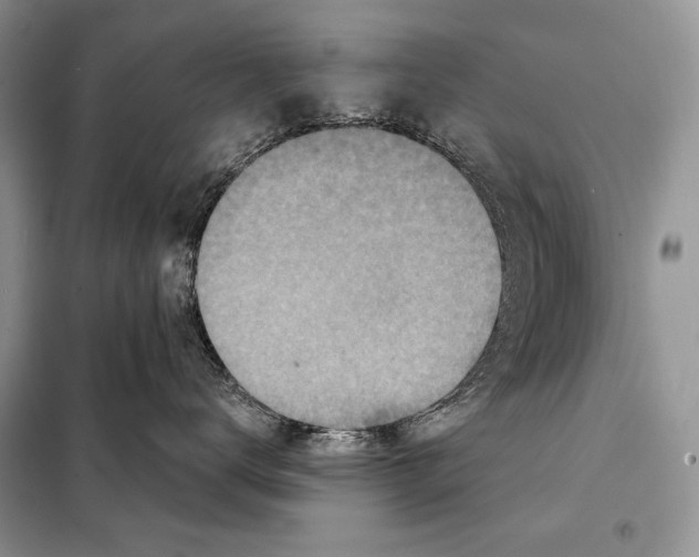 X0000098070672200805020959