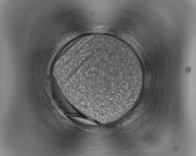 X0000098070673200805020958