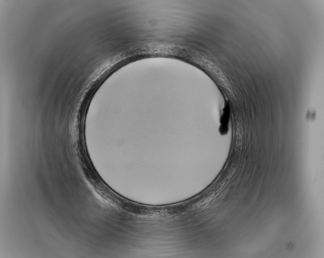 X0000098070674200805020958