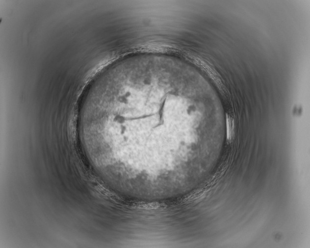 X0000098070675200805020958