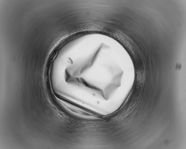 X0000098070676200805020958