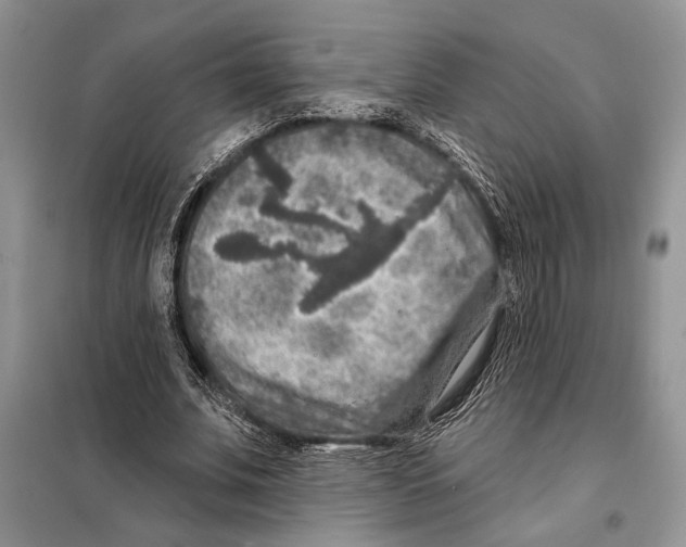 X0000098070679200805020958