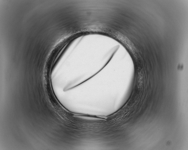 X0000098070680200805020958