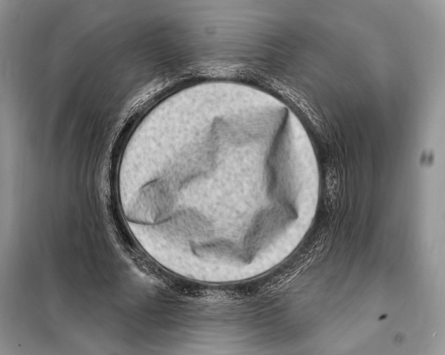 X0000098070682200805020958