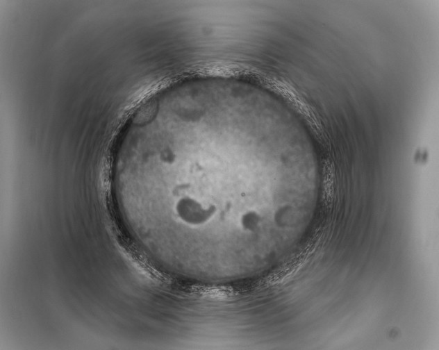 X0000098070683200805020958