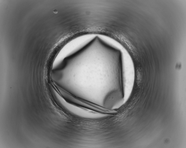 X0000098070684200805020958