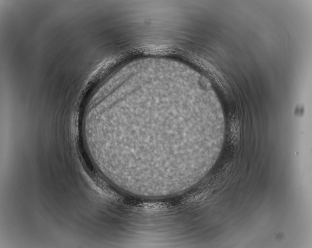 X0000098070686200805020958