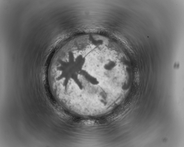 X0000098070687200805020958