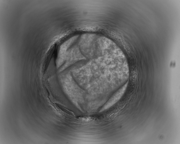 X0000098070688200805020958