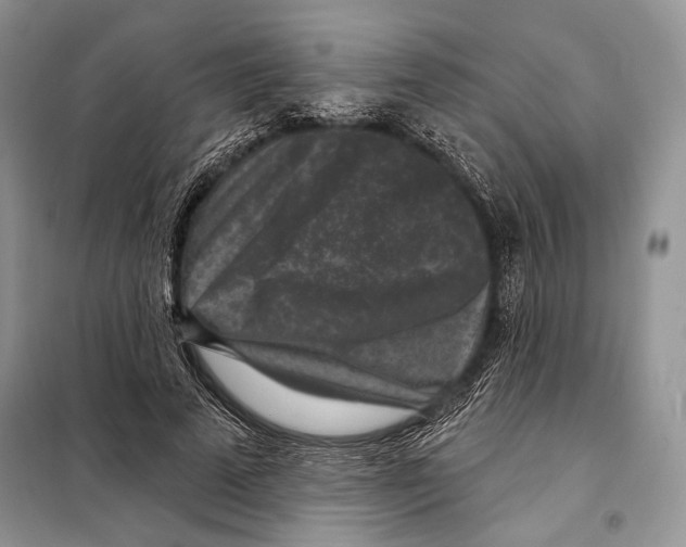 X0000098070689200805020958